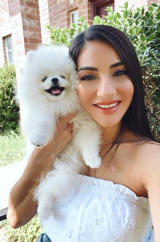 Teacup Pomeranian [lowellteacuppuppies]