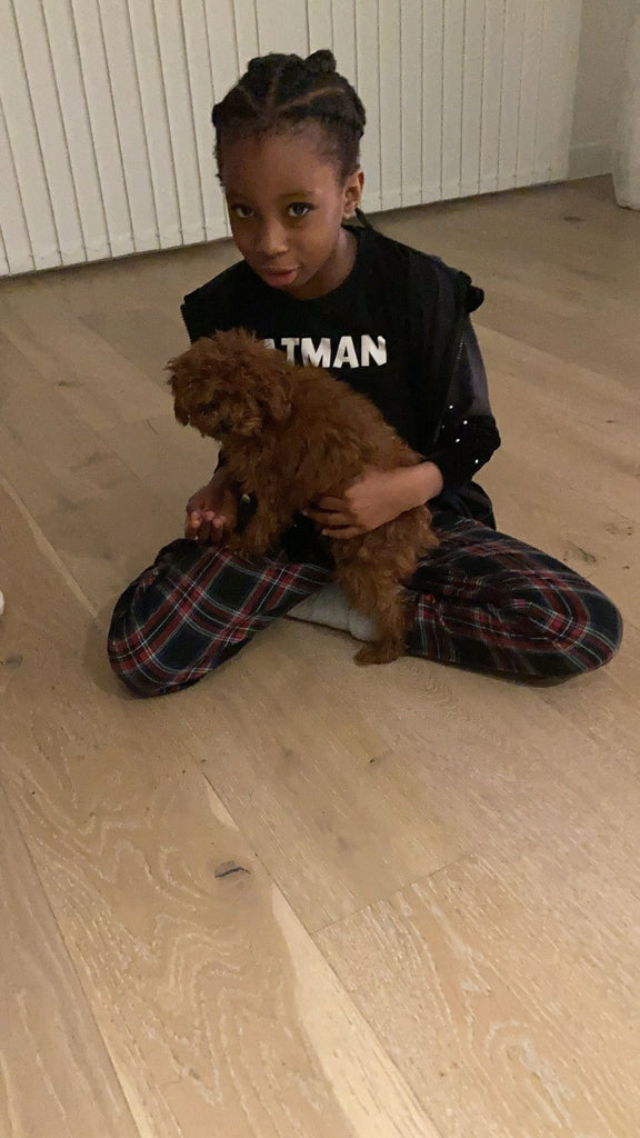 UK Teacup Red poodle puppies [lowellteacuppuppies]