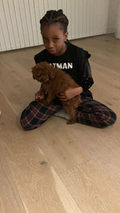 UK Teacup Red poodle puppies [lowellteacuppuppies]