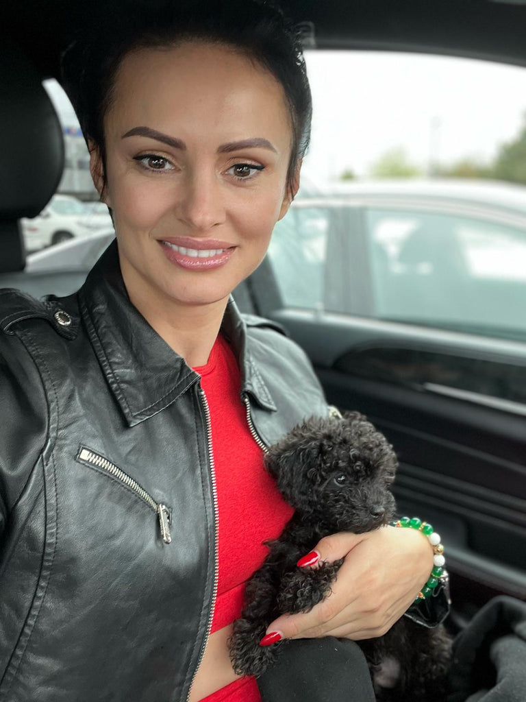 Teacup poodle puppies [lowellteacuppuppies]