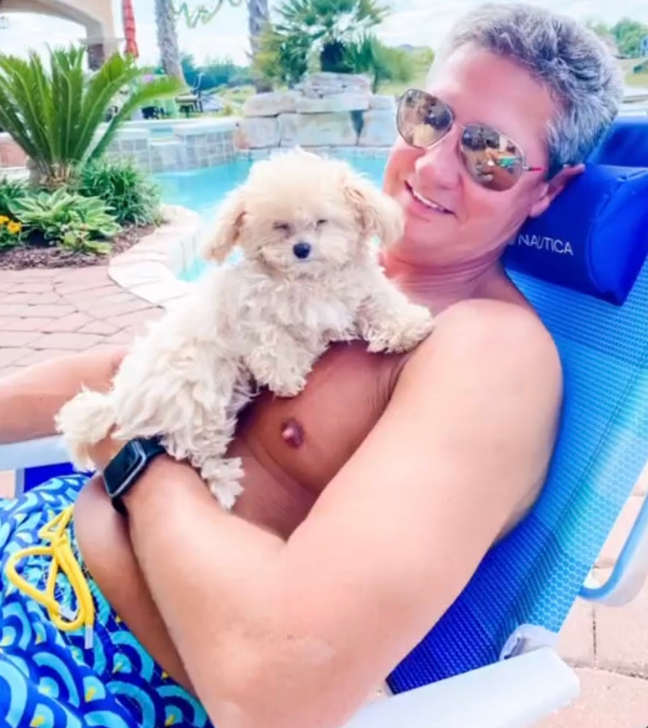 Teacup Maltipoo [lowellteacuppuppies]