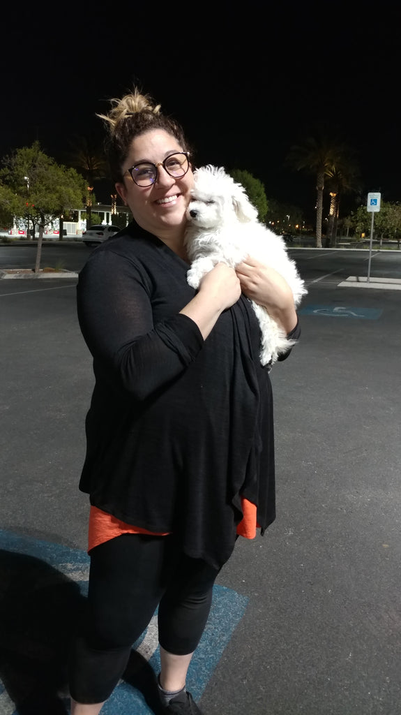 Bichon frise [lowellpuppies]