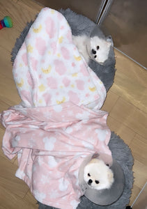 Teacup Pomeranian puppies [lowellteacuppuppies]