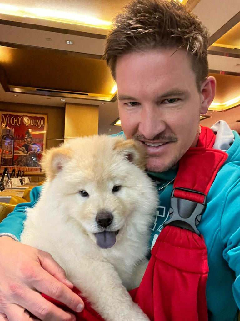New York Mini chowchow puppies [lowellteacuppuppies]