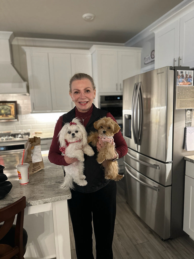 Teacup Maltese and Maltipoo puppies [lowellteacuppuppies]