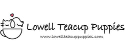 Lowell Teacup Puppies inc